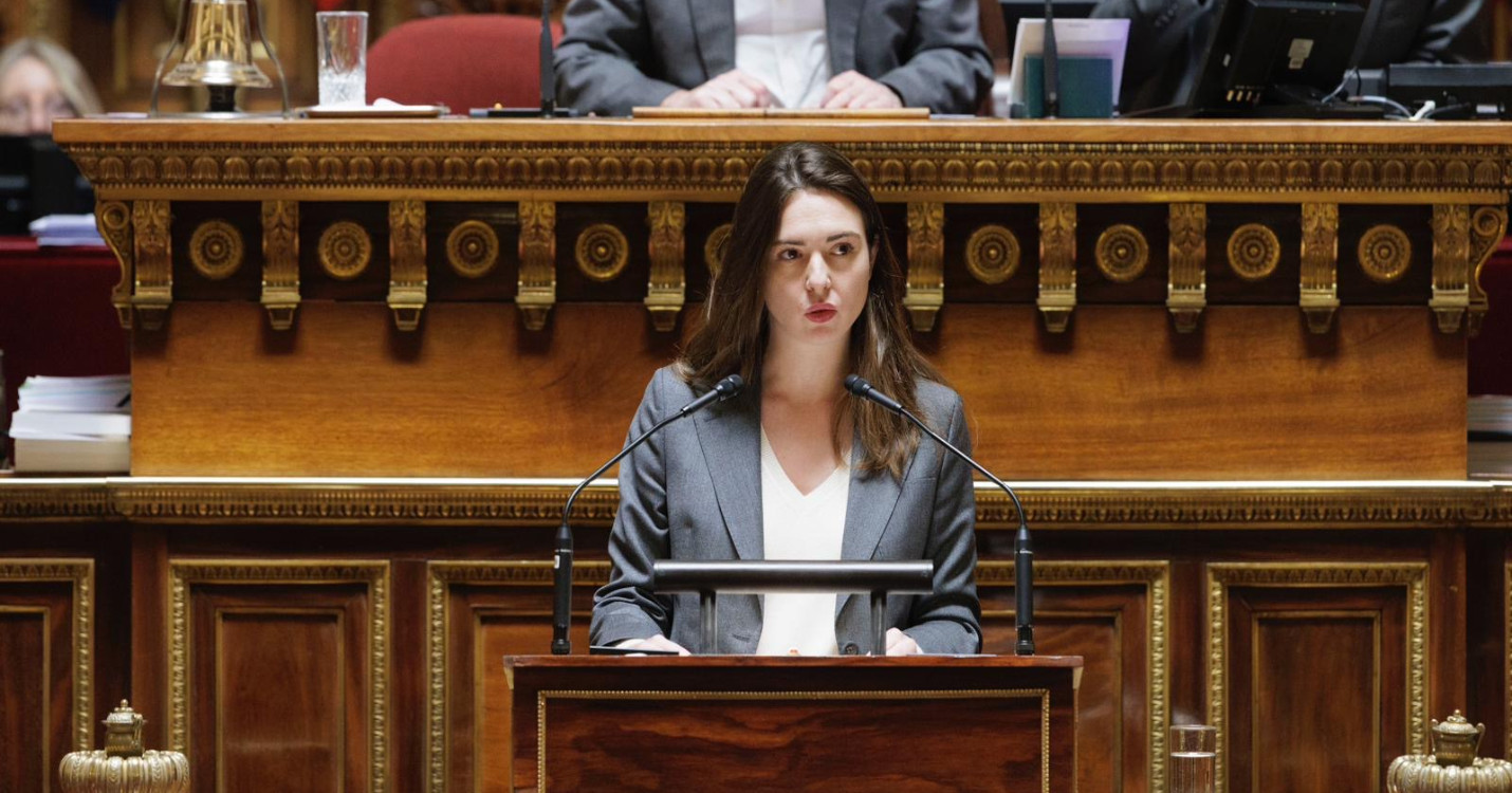 L’ASFE face aux défis actuels : interview de Sophie Briante Guillemont